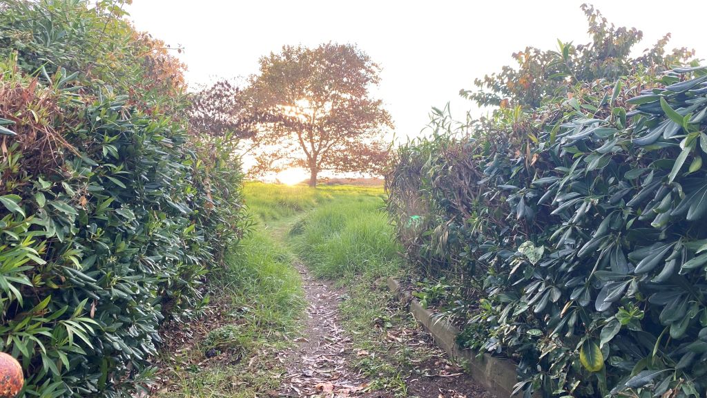  Chemin plage