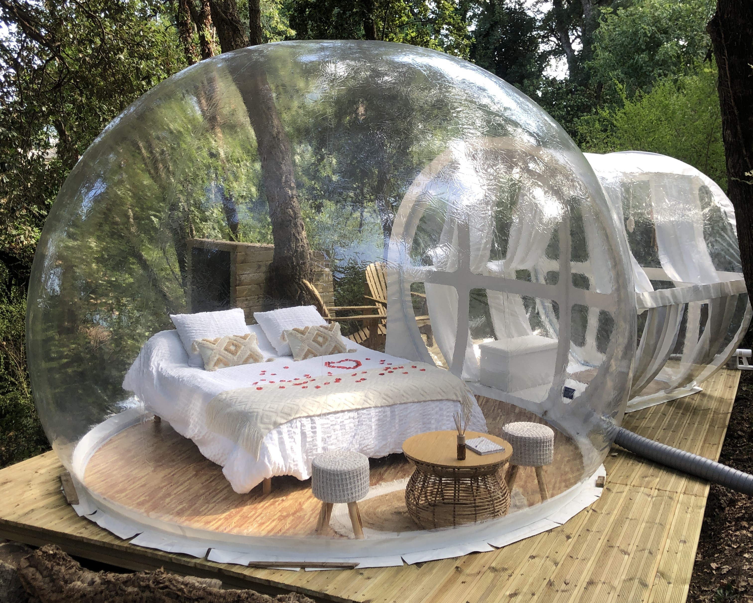  Bulle Nebiu