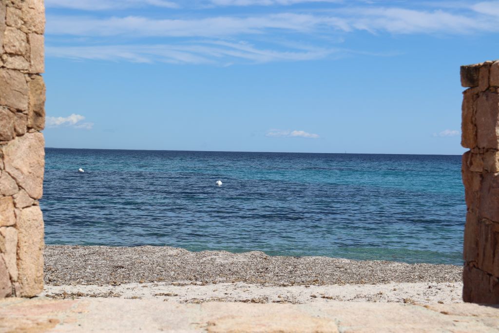  IMG-4298