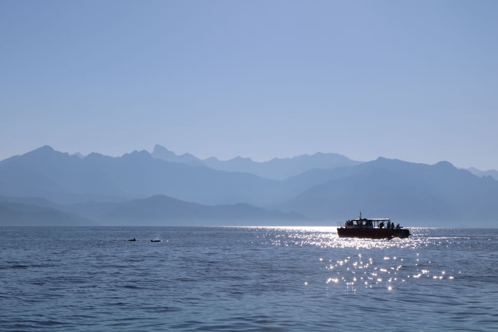   ALBELLU CROISIERES