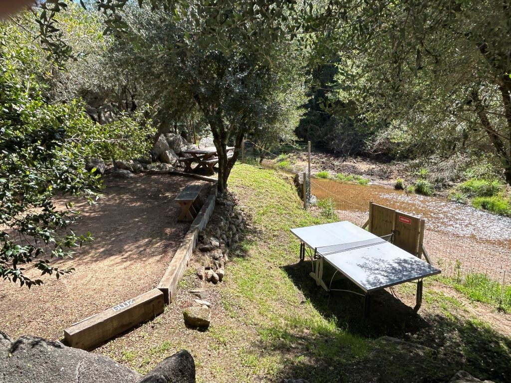  Terrain pétanque et Table ping pong