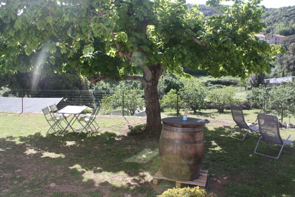  IMG-7823-2