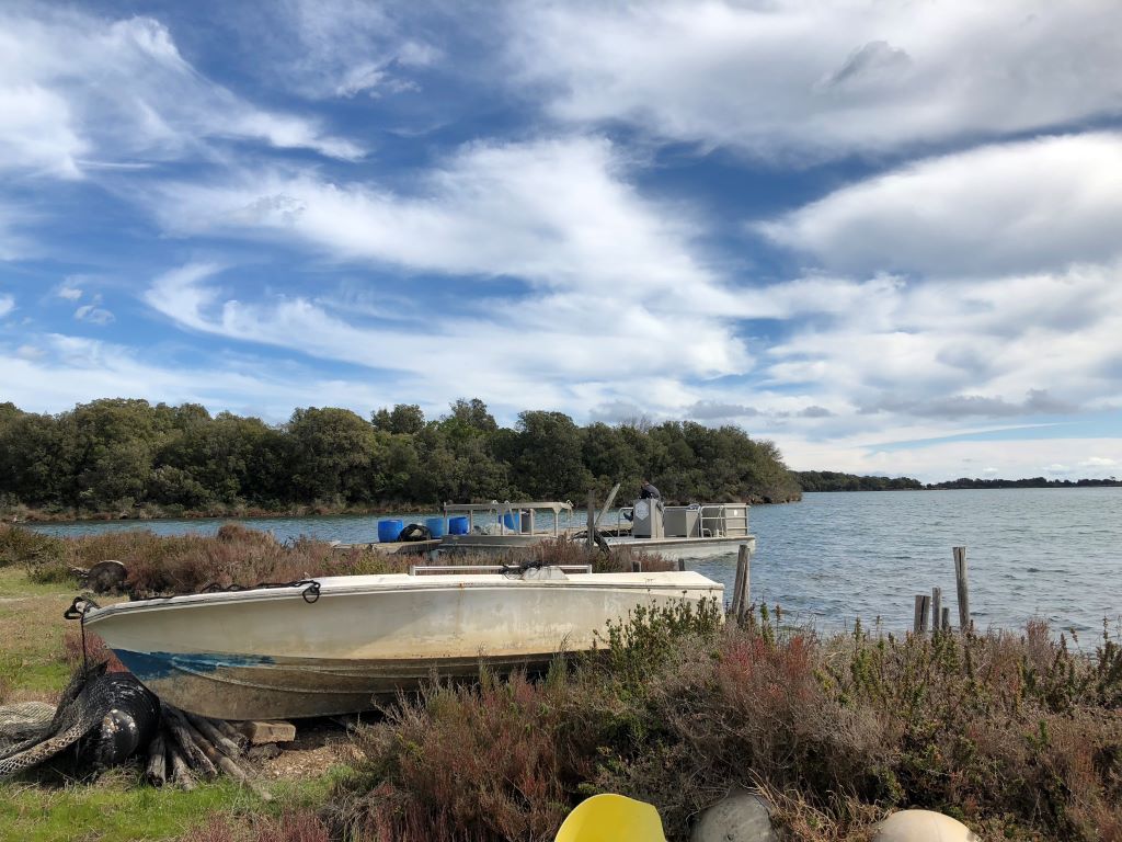  ETANG DIANA