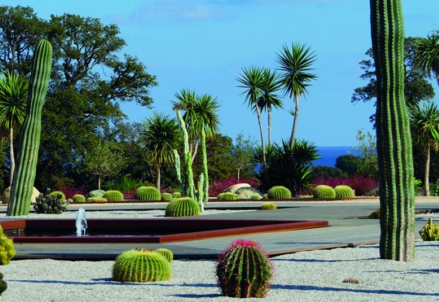  Jardins-Cactus-4
