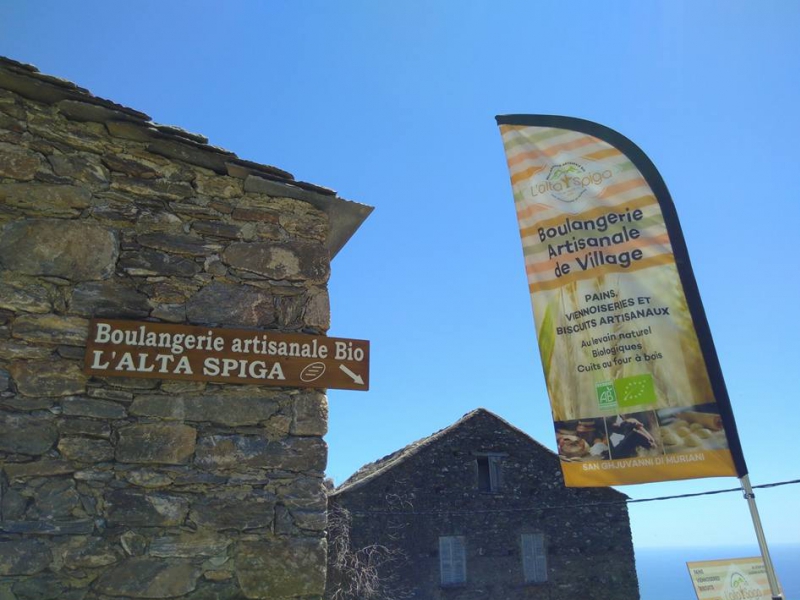  L'ALTA SPIGA_1_1