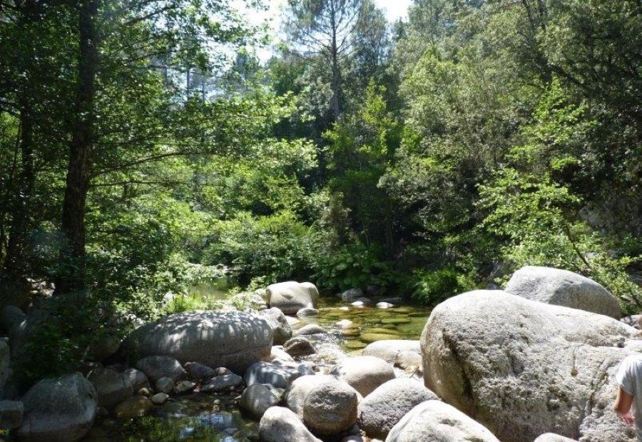  LA-RIVIERE-1-8