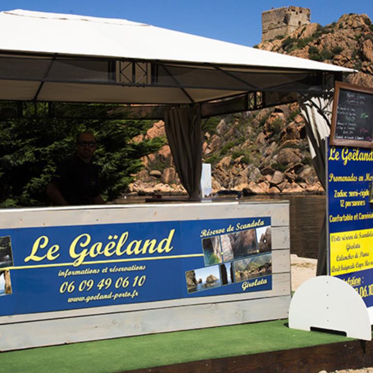 LE GOELAND_6_6