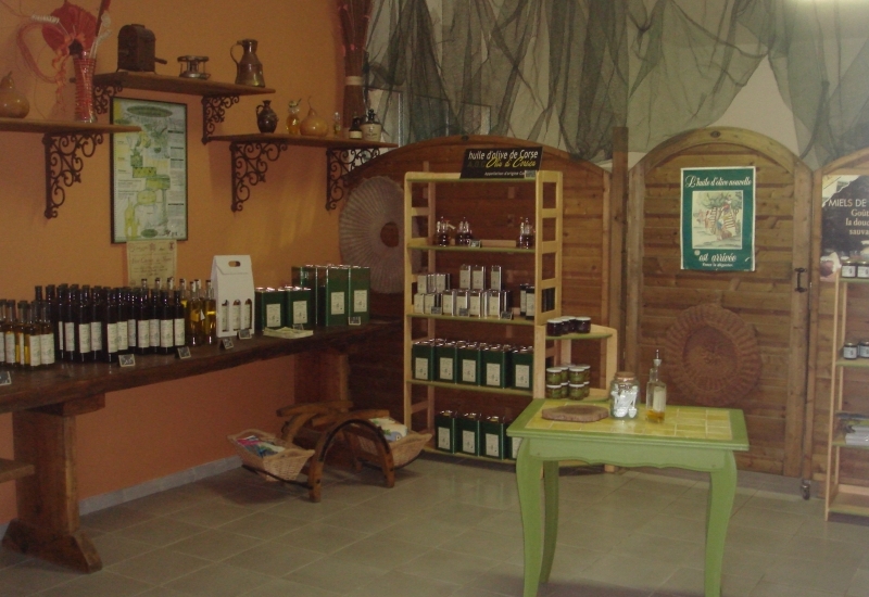  LE MOULIN DE PRUNETE_1_1