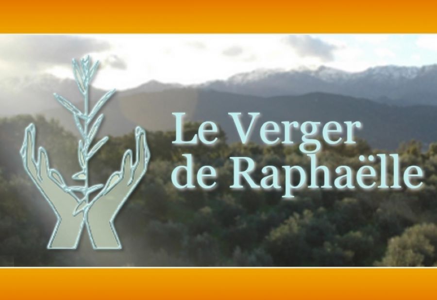  LE-VERGER-DE-RAPHAELLE-3