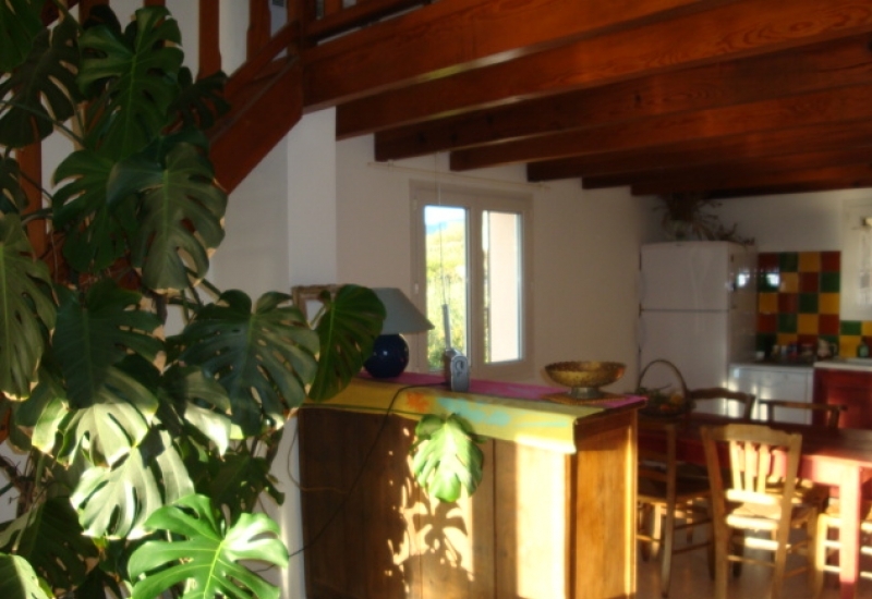 LEONETTI MARIE_7