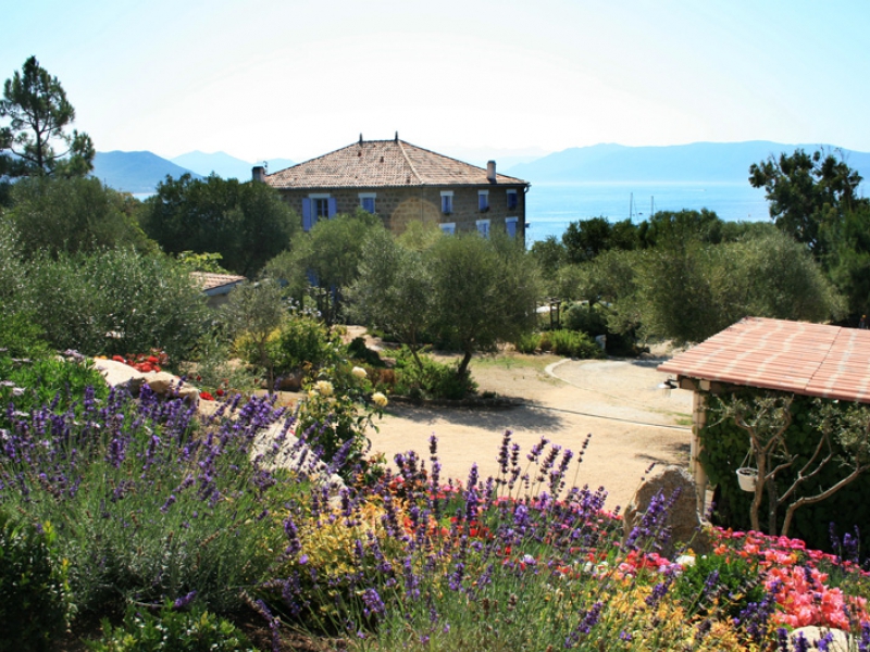  LES FIGUIERS Location meublé de tourisme Porto Pollo Corse du Sud_1