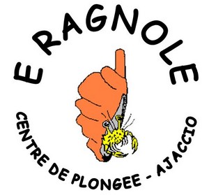 LOGO E RAGNOLE