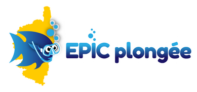 LOGO EPIC