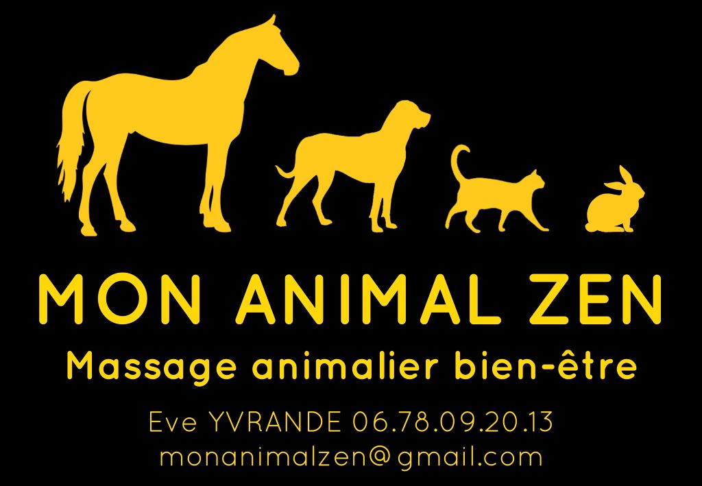  LOGO-LIBRE-OFFICE-power-point-A4-NOM-TEL-MAIL-JPEG