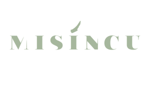 LOGO MISINCU