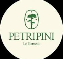 LOGO PETRIPINI