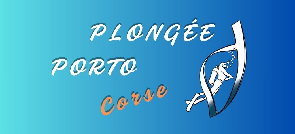  LOGO PPC