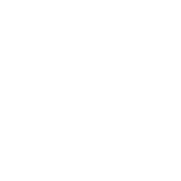 LOGO ROI THEODORE