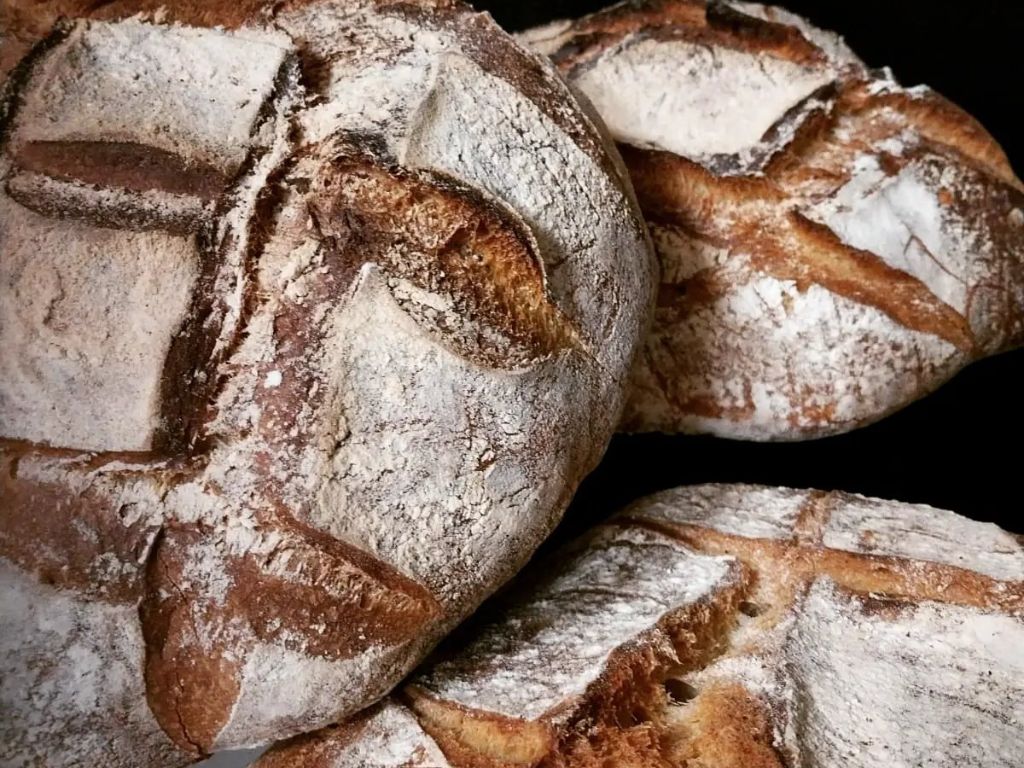  format tourinosft - 2