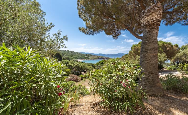 Appartement vue mer HOTlesmandilesCargese