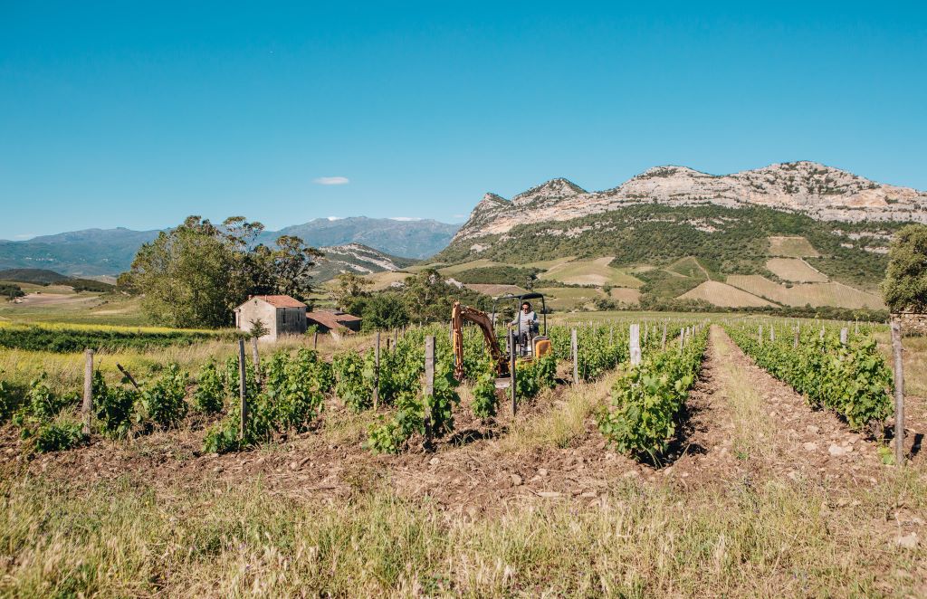  MELLED-VIGNES-MAI2021-23