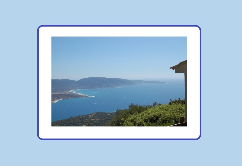  MICALONA_2_2
