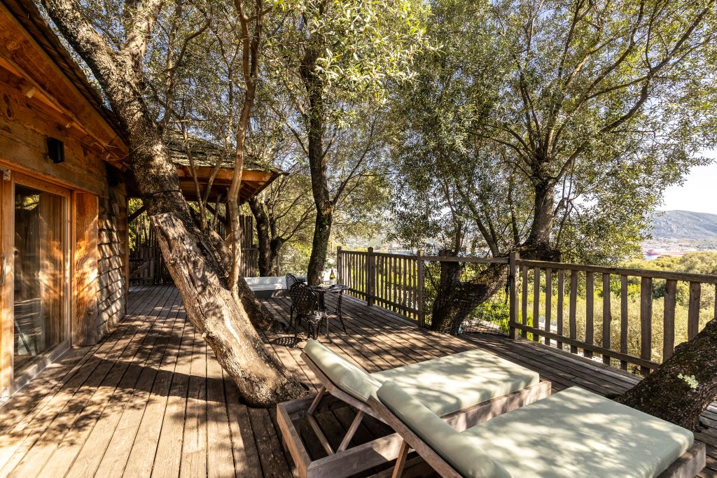  MoulinDesOliviers-2025-131