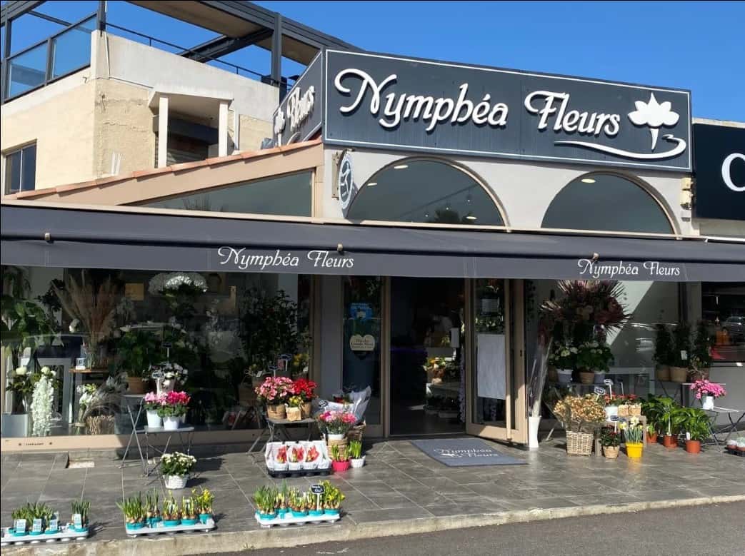  NYMPHEA FLEURS OK