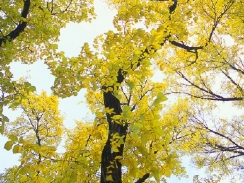  OFFICE NATIONAL DES FORETS_2_2