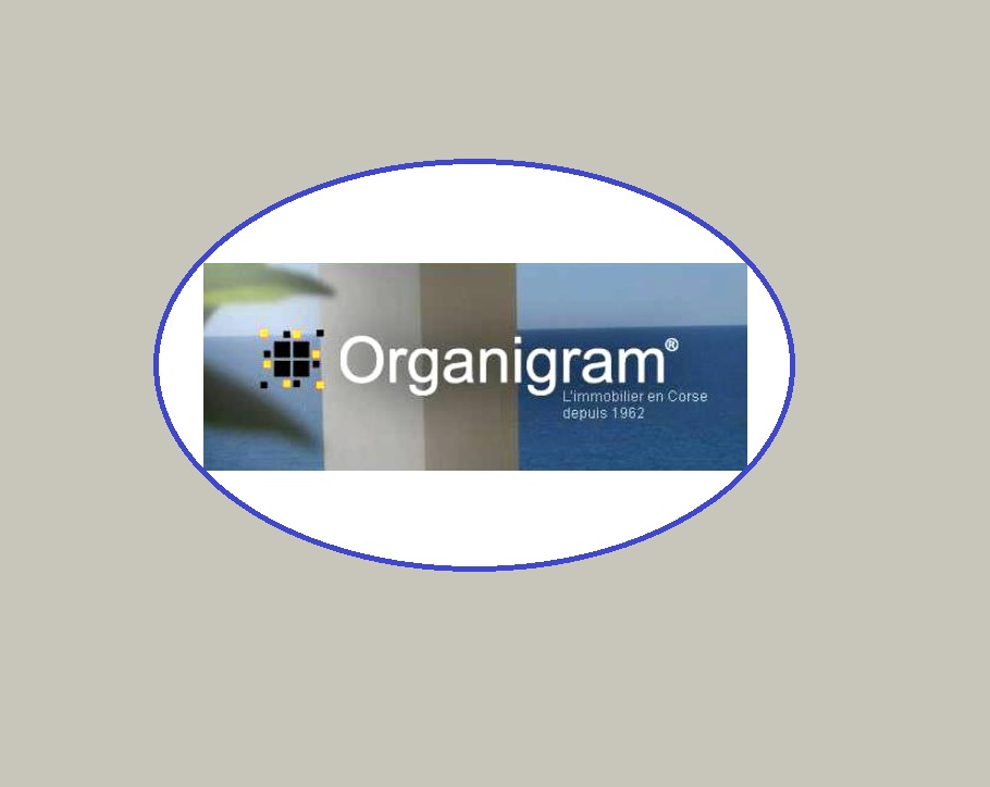  ORGANIGRAM_1_1