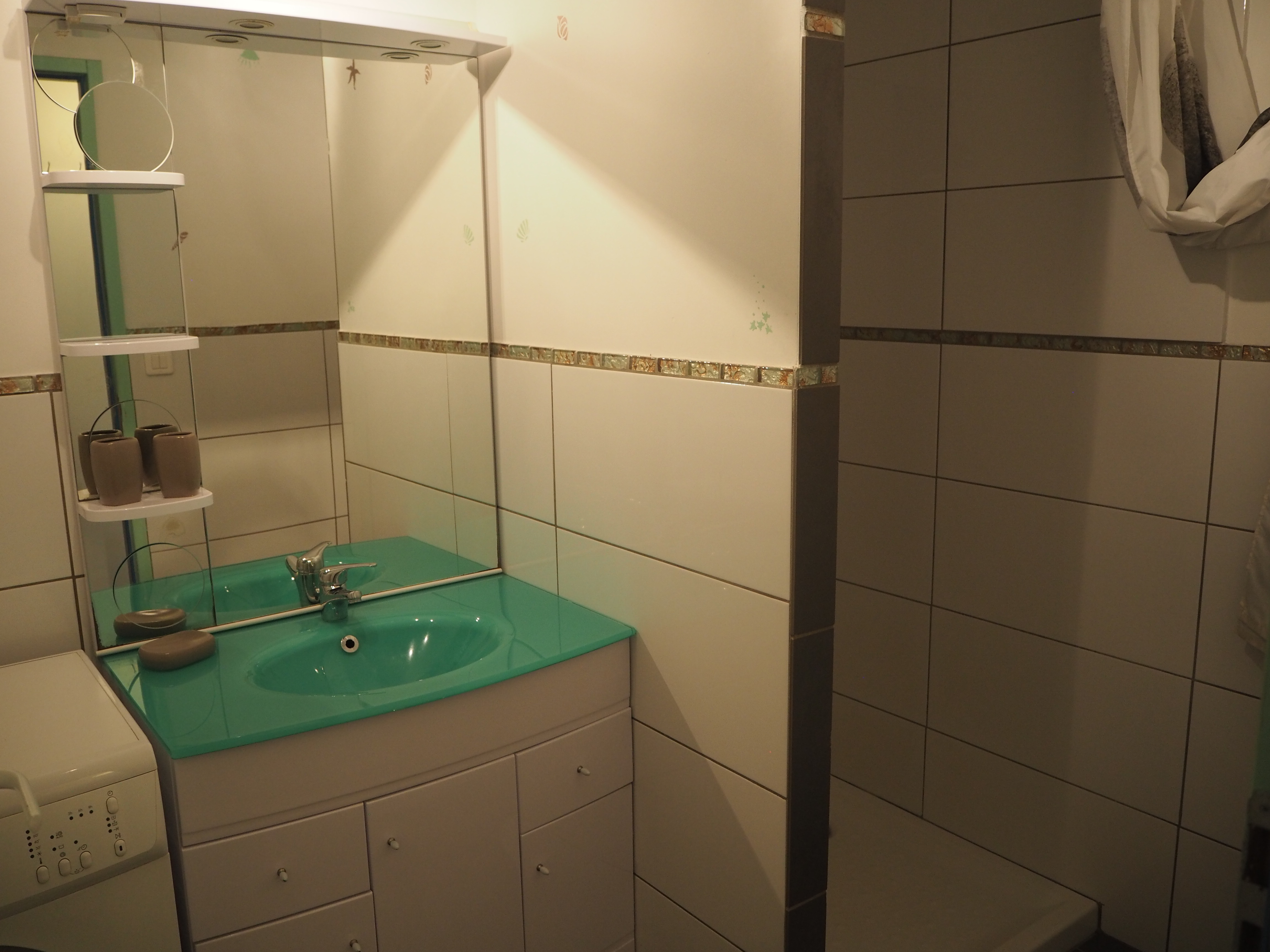  salle d'eau avec lavabo douche et lave linge