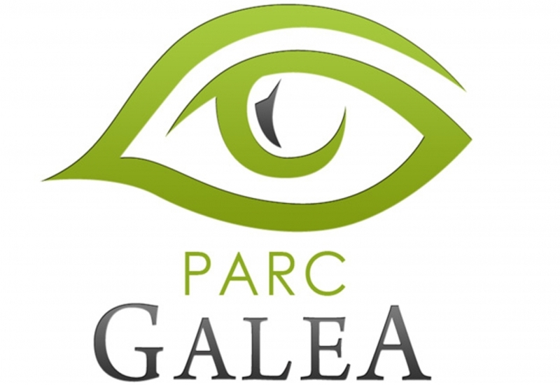  PARC GALEA_7