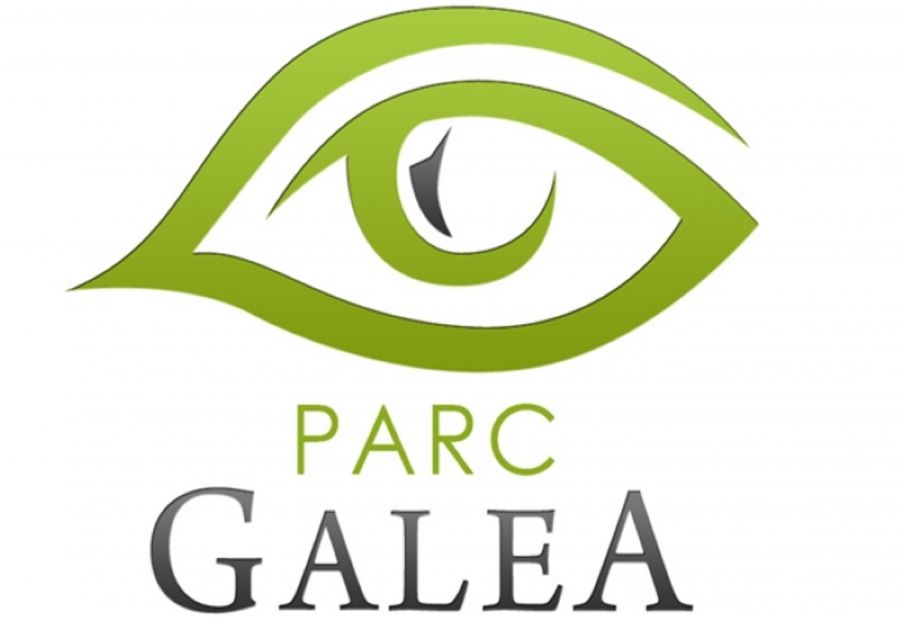  PARC-GALEA-21