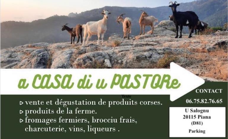 PASTU 2 (1) vjf
