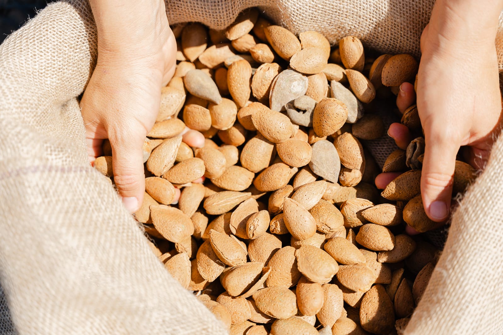  PHOTO-2025-05-27-17-25-19