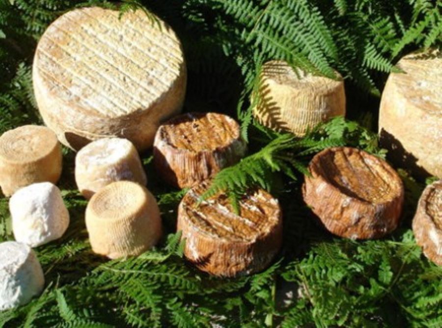  PHOTO-COPIEE-SUR-OT-REDIMENSIONNEE-PAR-CHANTAL-177