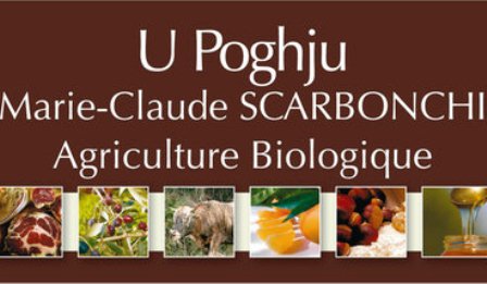  PHOTO COPIEE SUR OT - REDIMENSIONNEE PAR CHANTAL_1