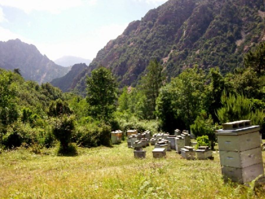  PHOTO-DU-06-09-11-PRISE-SUR-PHOTOTHEQUE-INFOTOUR-REDIMENSIONNEE-PAR-CHANTAL-5