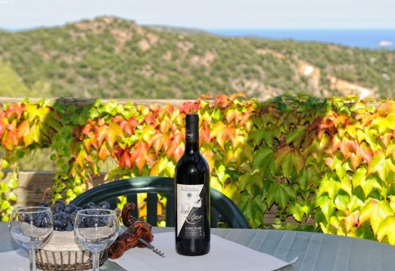 PIETRA DI SOLE - BOUGAINVILLE - PORTO VECCHIO_1