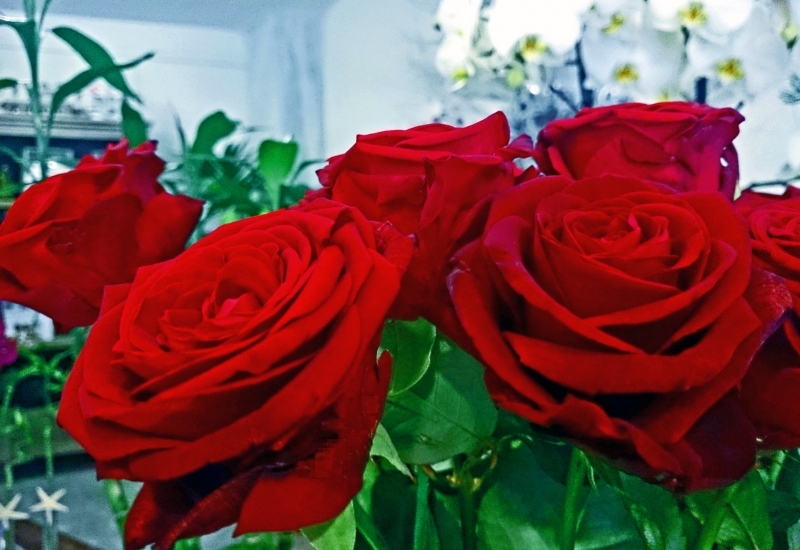  POEME DE FLEURS_1_1