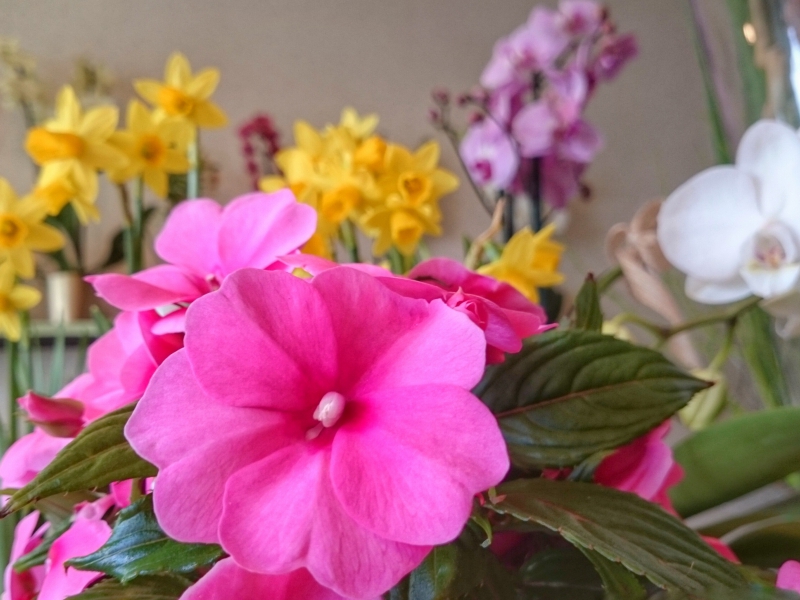  POEME DE FLEURS_3_3