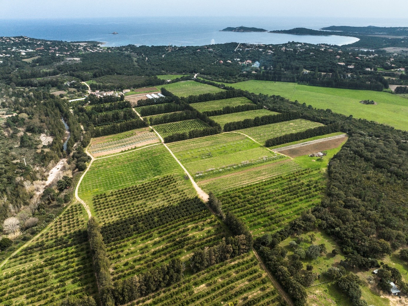  PROD Jardins de la Testa 2023 05