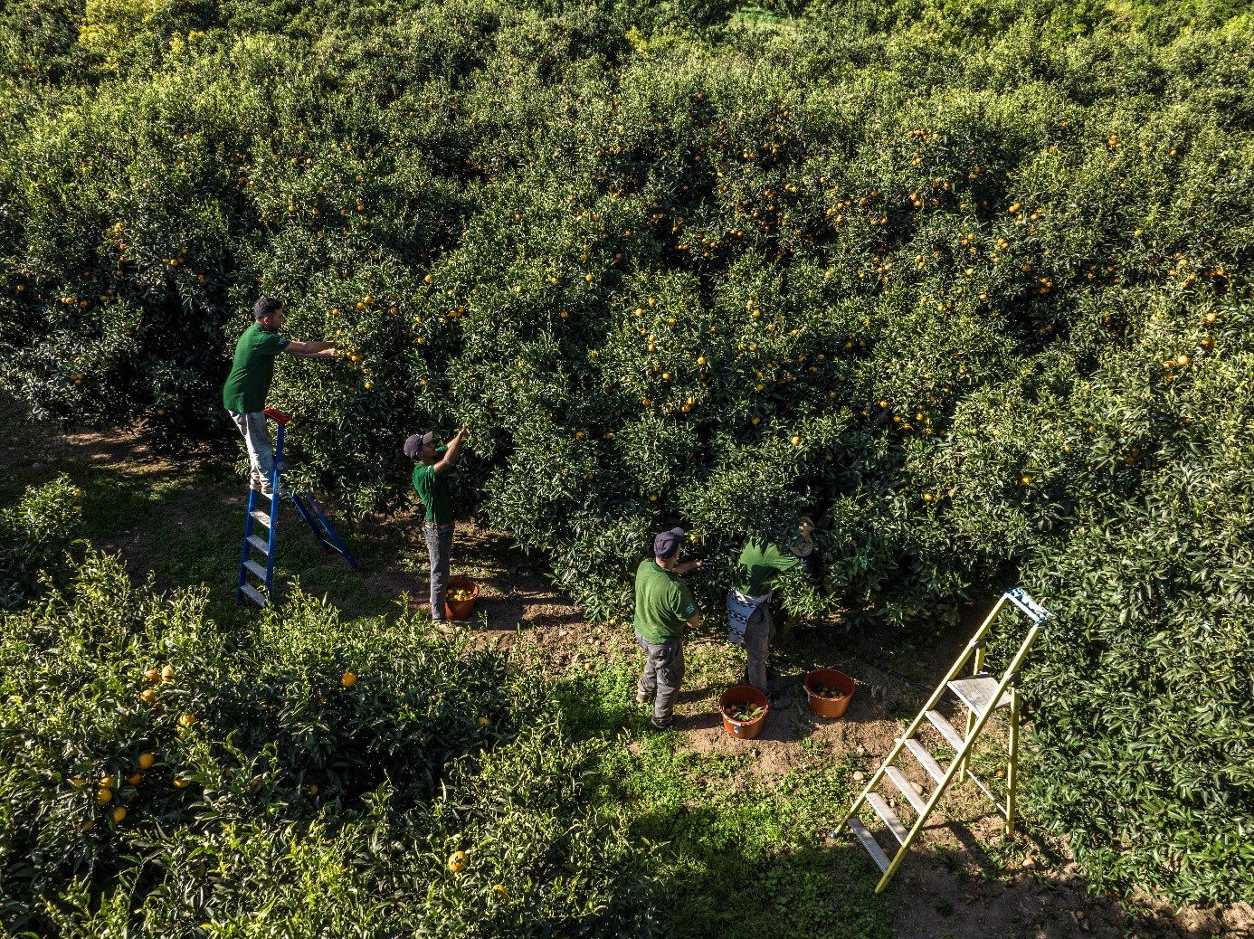  PROD Jardins de la Testa 2023 06