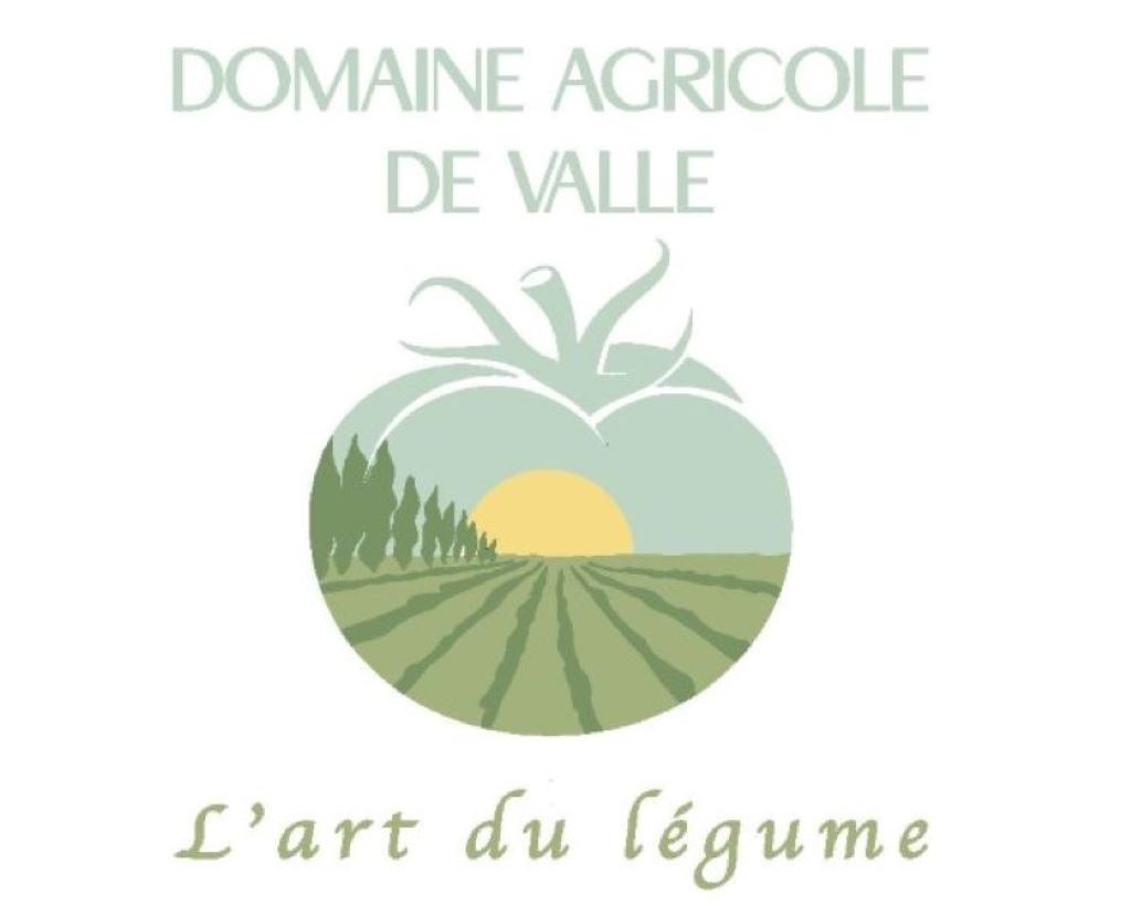 PROD Logo Domaine Agricole de Valle GG à modifier-page-001
