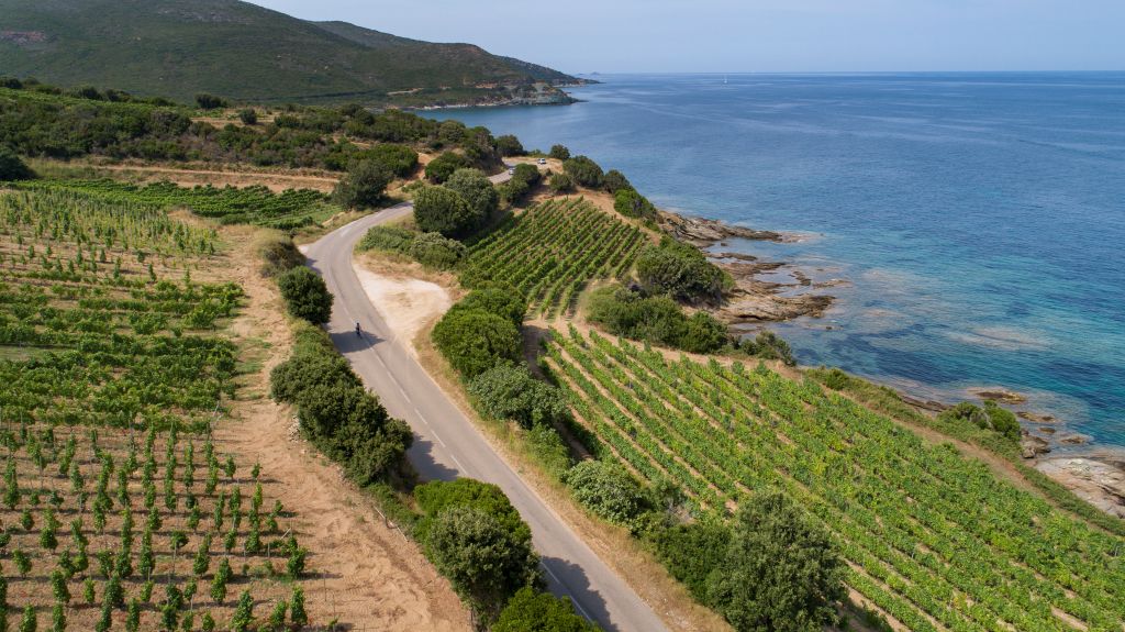  Patrimonio - vignobles_r ©ATC-Sylvain Alessandri12