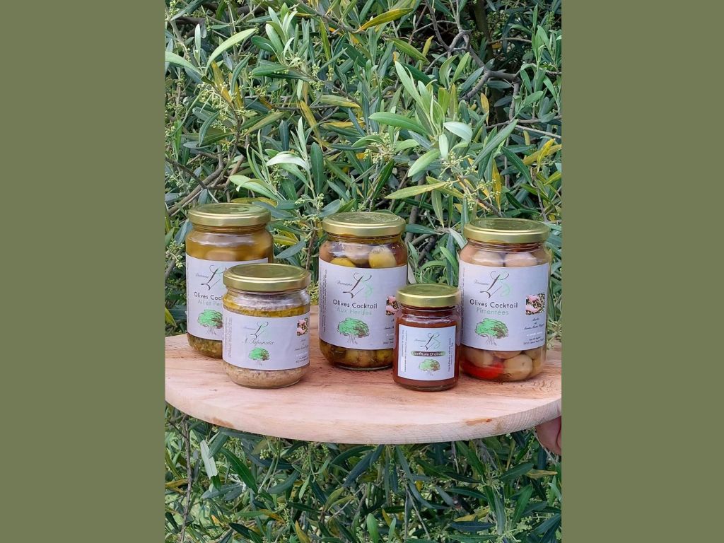  format tourinosft - 3