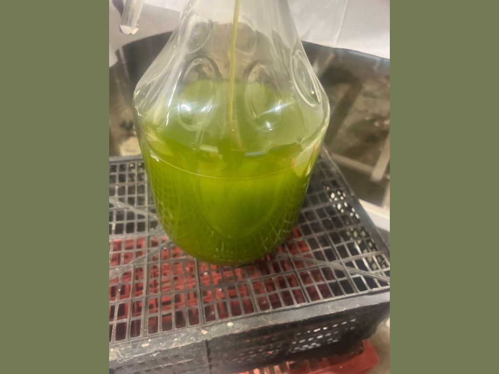  format tourinosft - 5