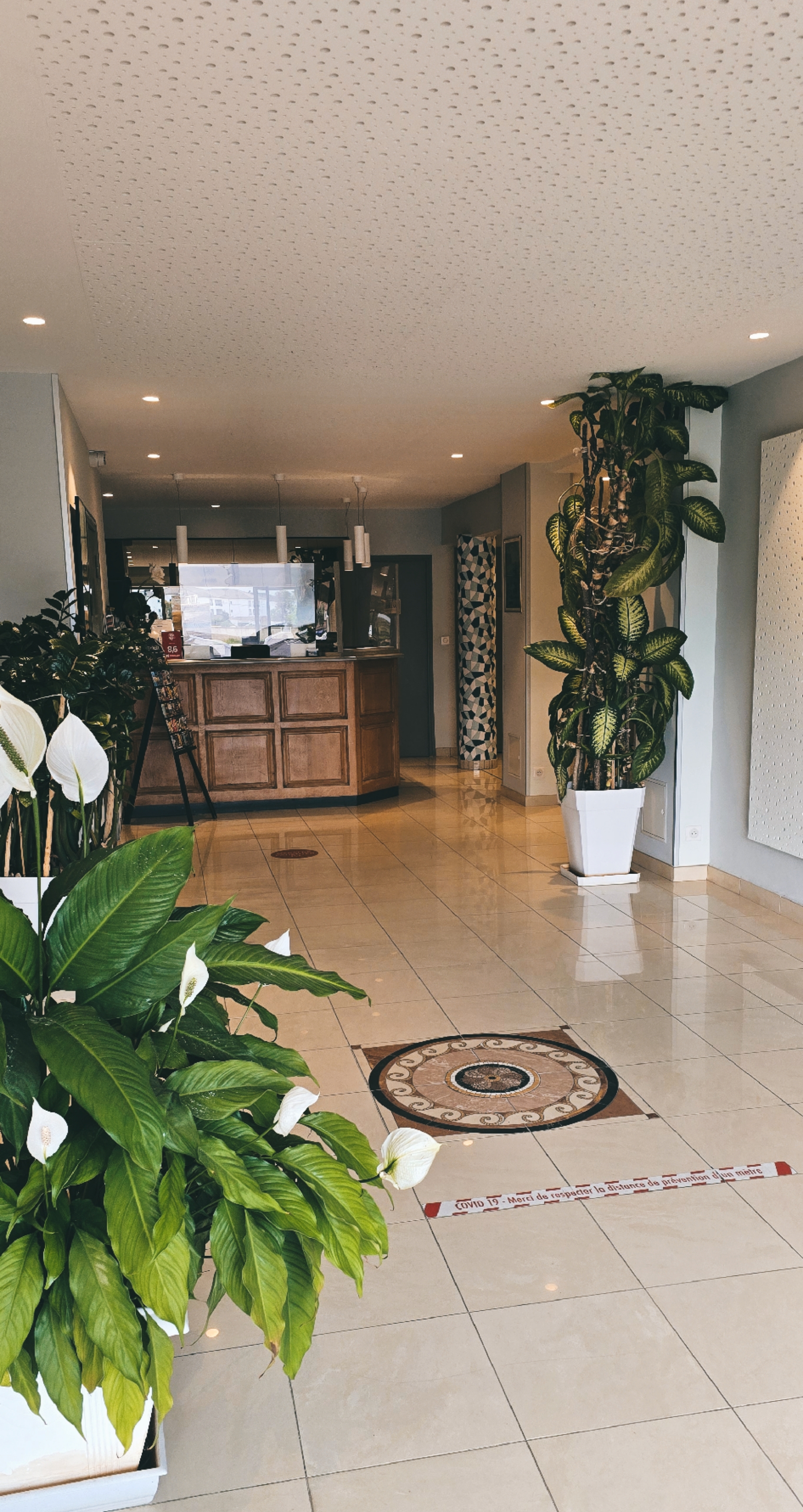  Picsart_25-04-08_20-36-57-565