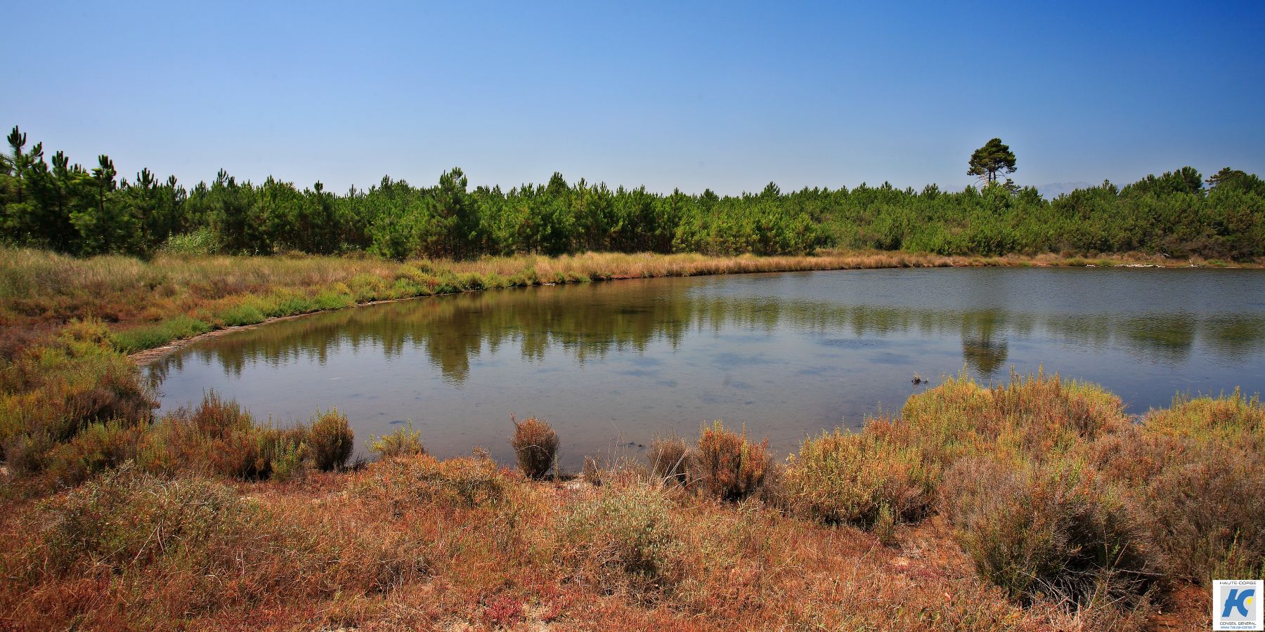 Pinia Marais del Sal