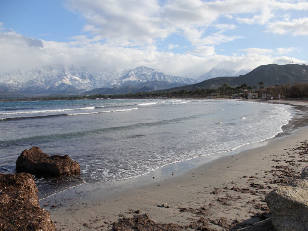  Plage-de-Calvi-sud-port-18